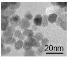 Transmission Electron Microscope (TEM) image of functionalized iron oxides nano-particles for disease detection and treatment.