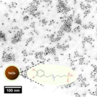 Zwitterion-coated magnetic nanoparticles (TEM image).