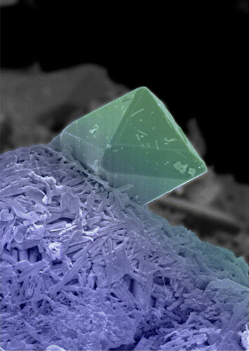 SEM image of a Nd(OH)3 crystal.